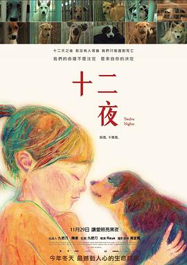 十二夜：那些人类教我们的事2013