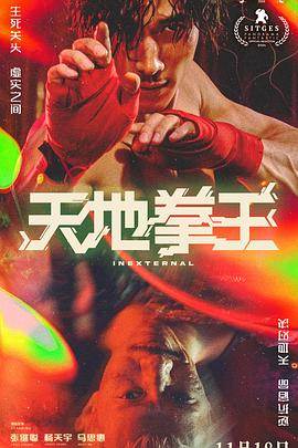 天地拳王粤语